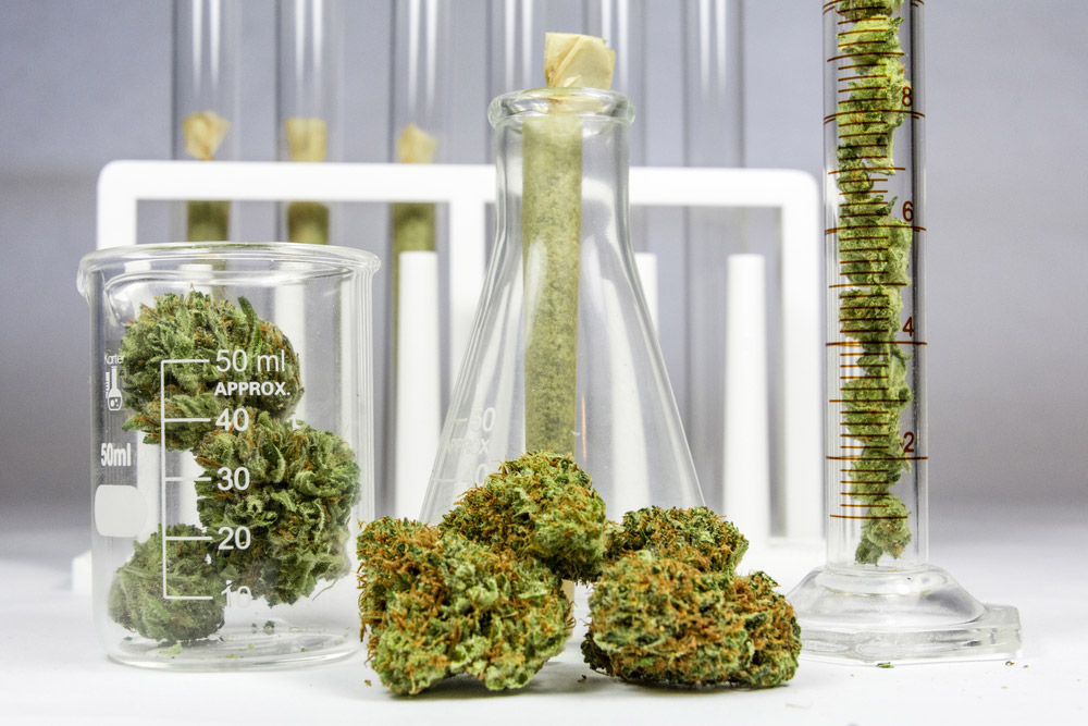 cannabis on a lab bench in flasks and test tubes