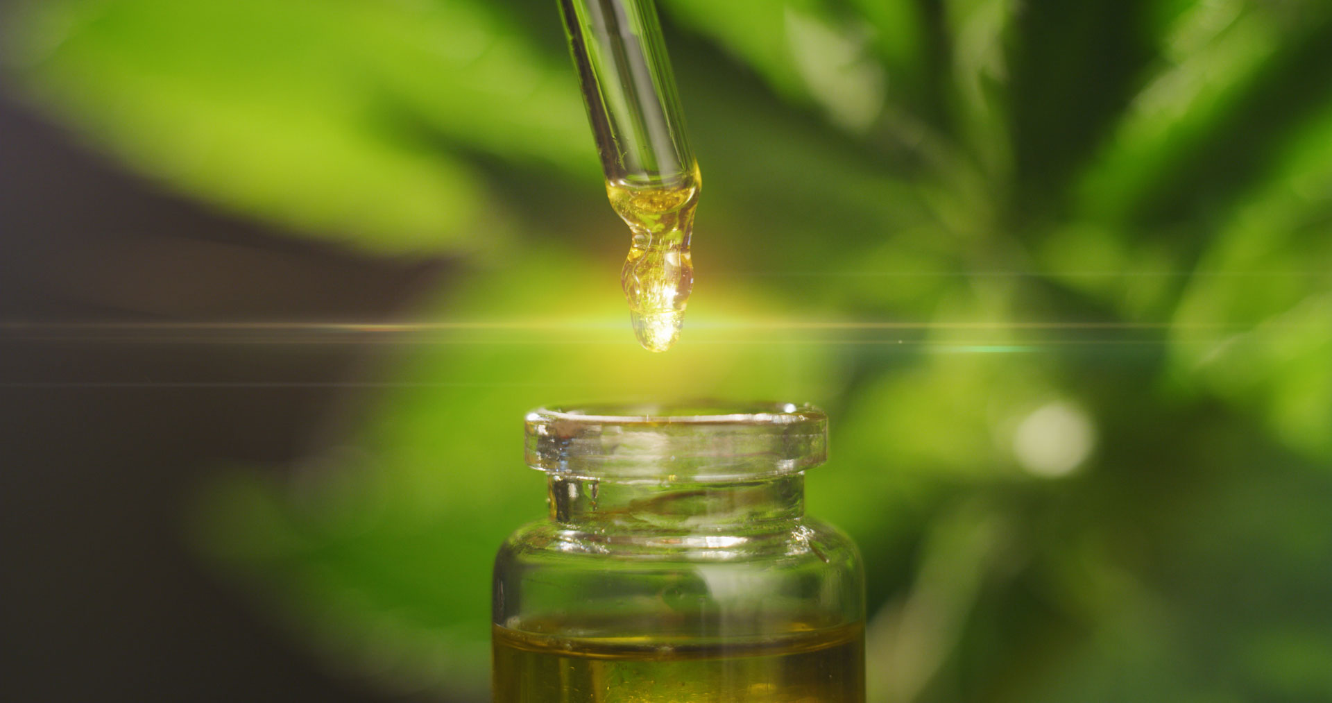 eyedropper with golden oil dripping into a clear bottle against a background of cannabis plants